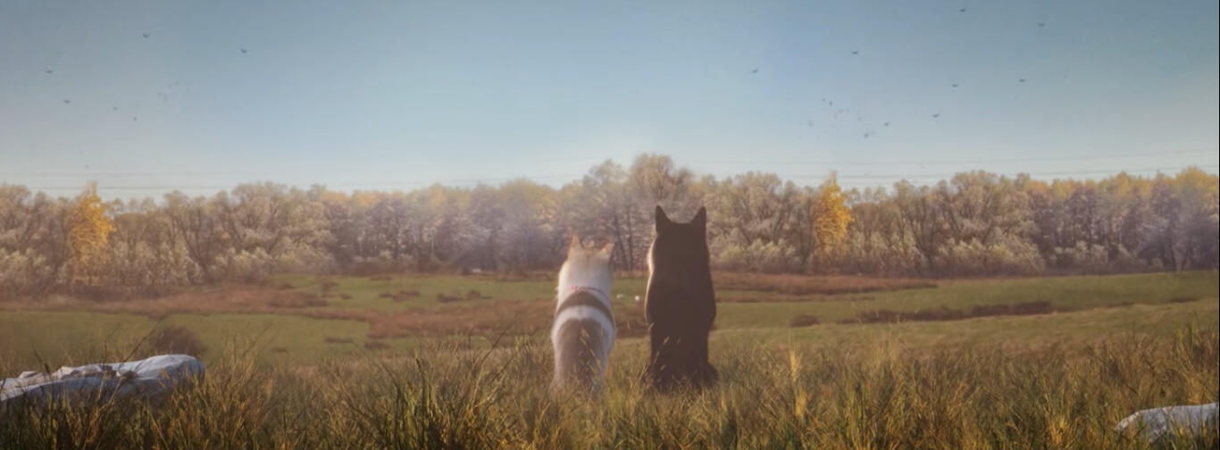 Wasteland is my fav series!